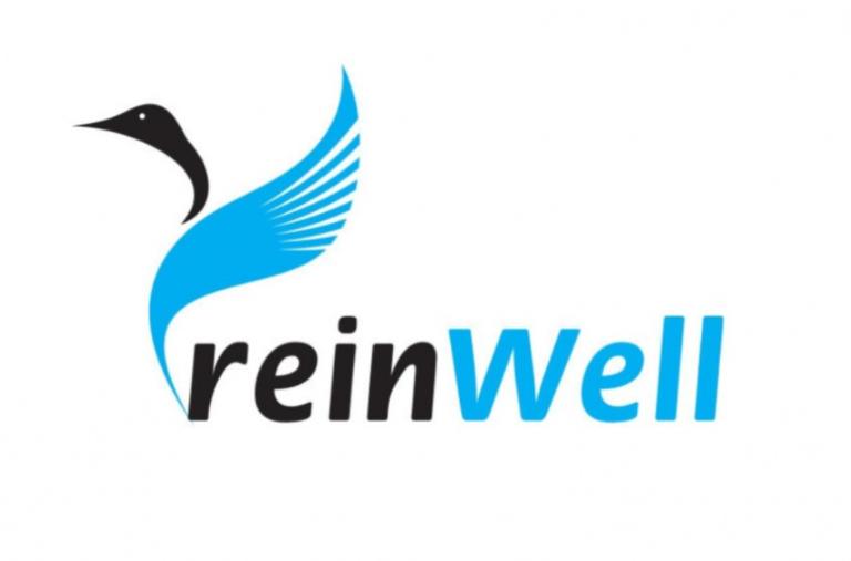 Новинка линейки автохимии ReinWell